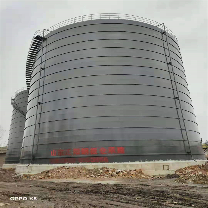 北湖3万吨大型钢板库